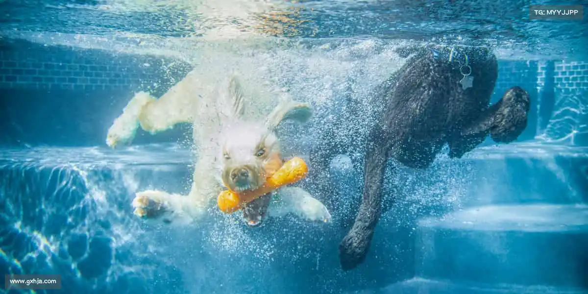 我们的核心竞争力